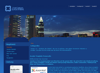 IBSI-US.COM Affordable Custom Web site design Tampa Florida